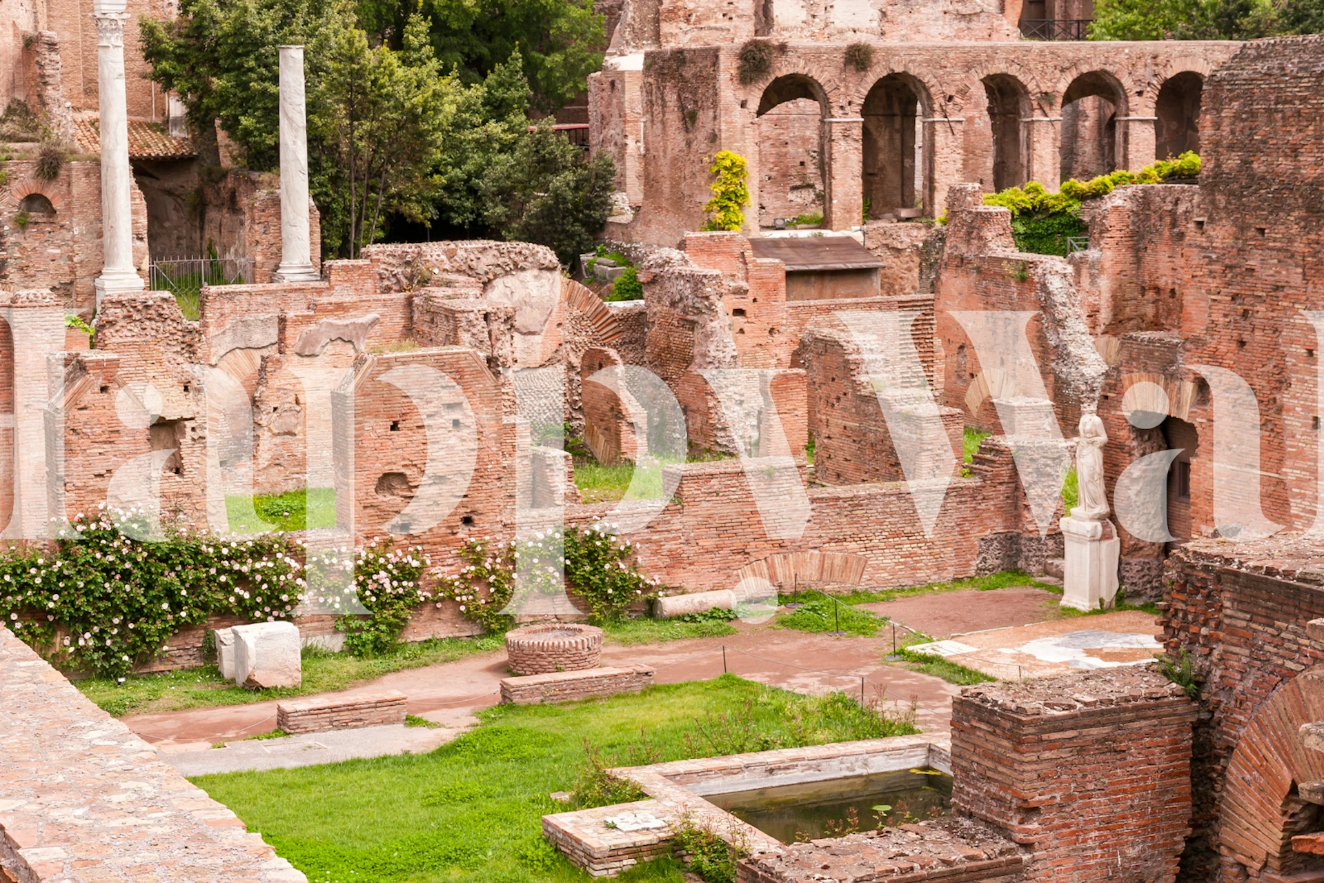 Roman Forum Ruins tapetti huoneessa