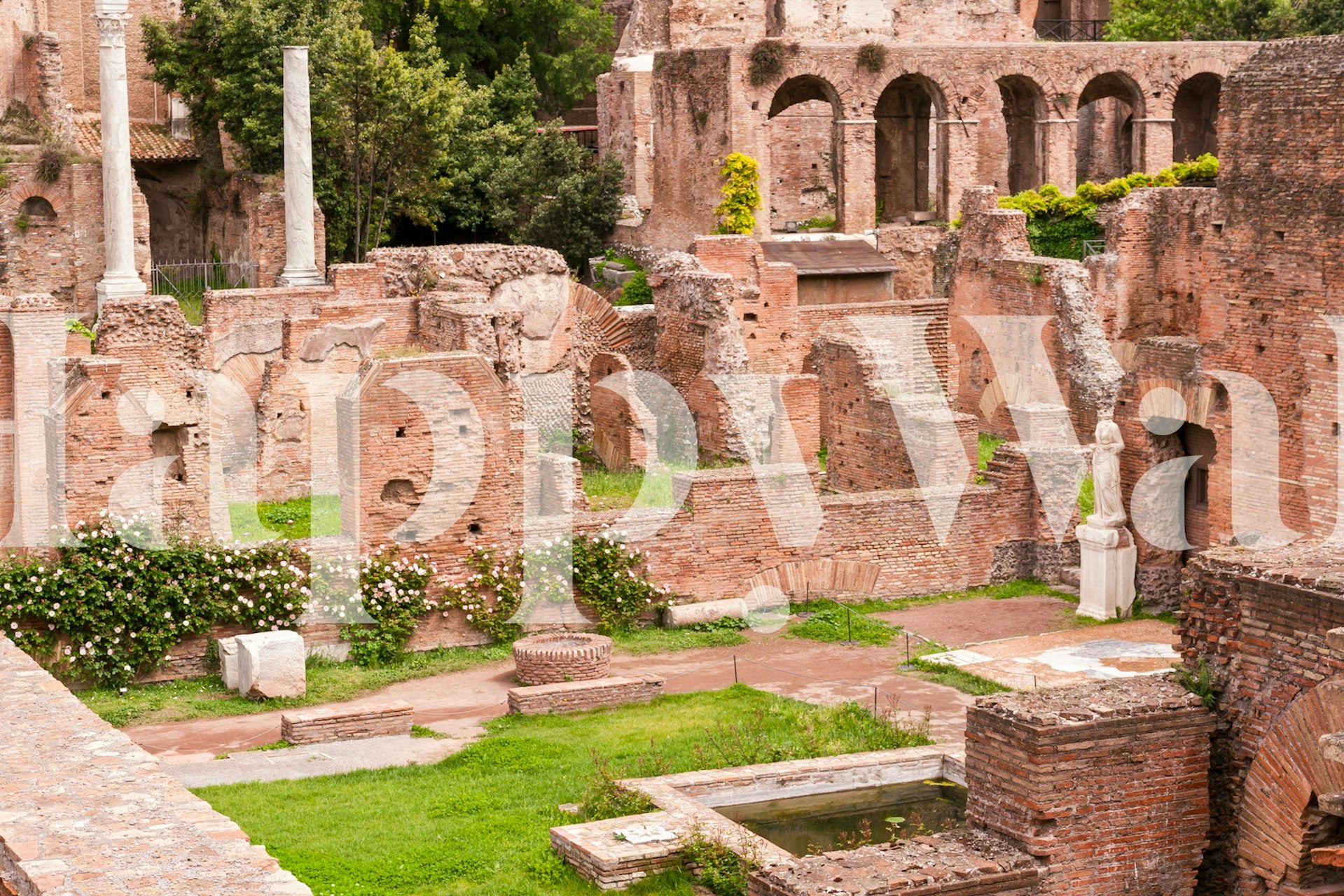 Roman ruins with greenery and stone textures wallpaper