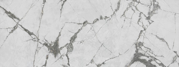Calacatta Silver Trace Marble