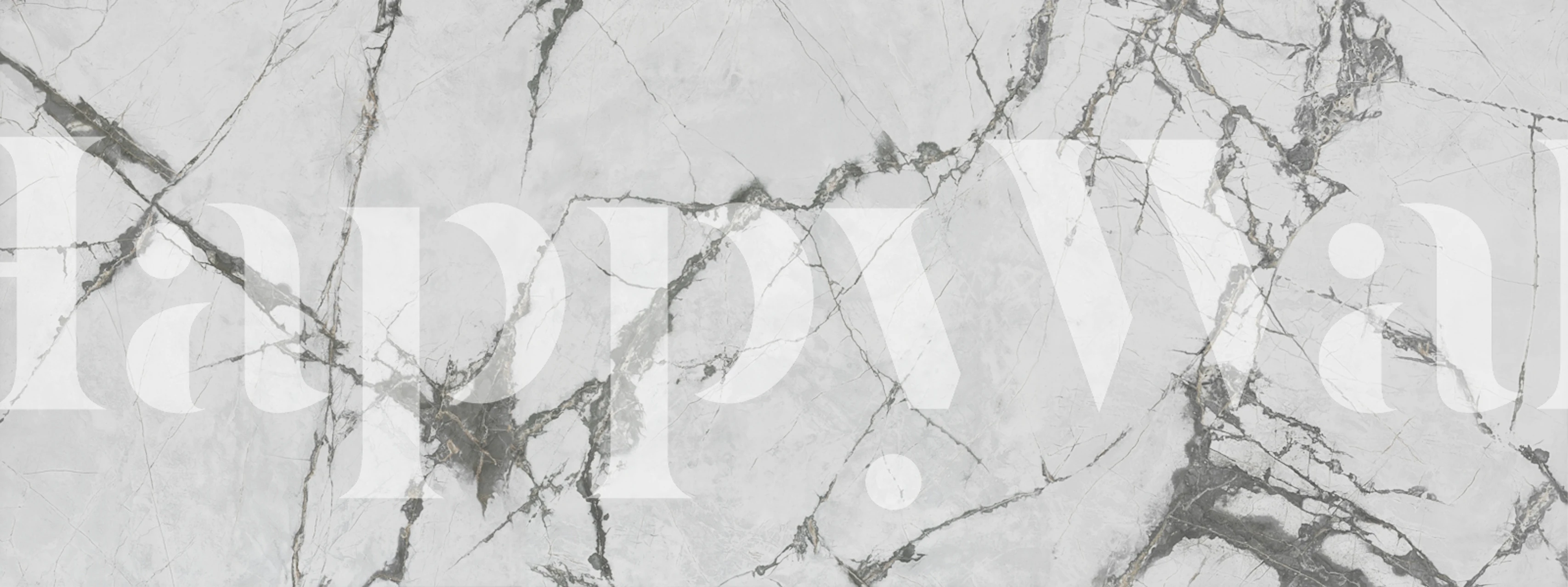 Calacatta Silver Trace Marble wallpaper in a room