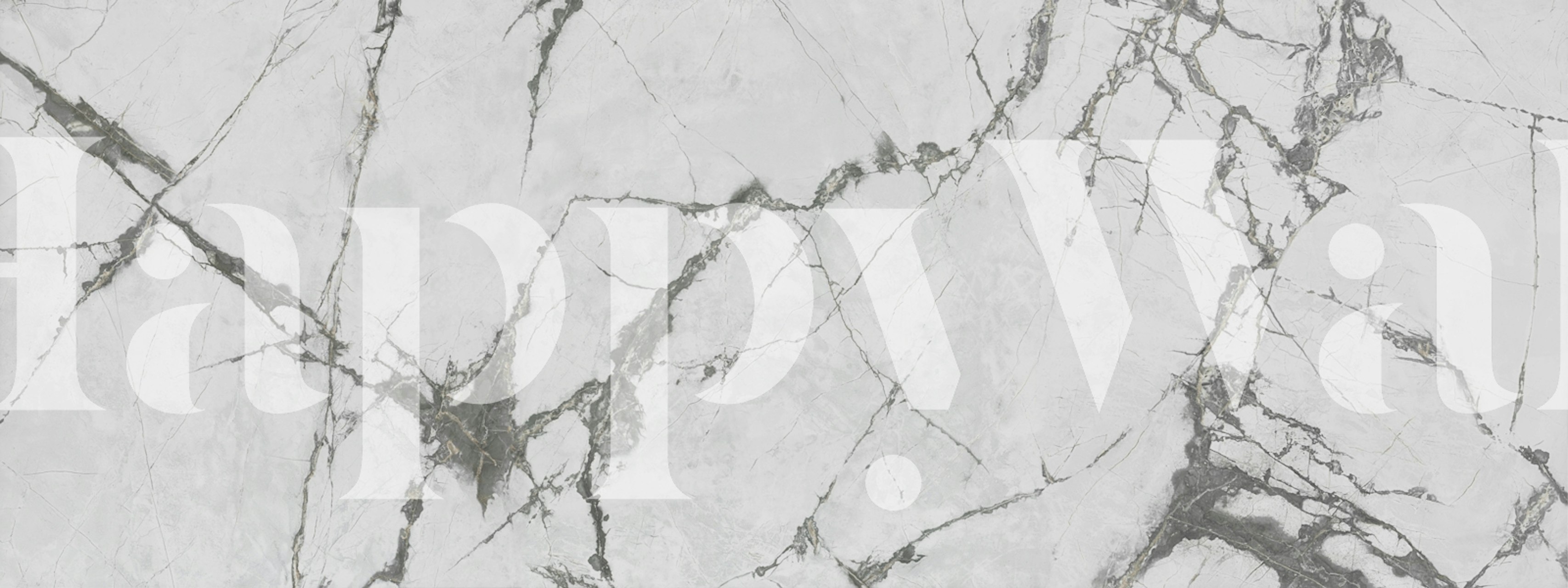 Calacatta Silver Trace Marble wallpaper in a room