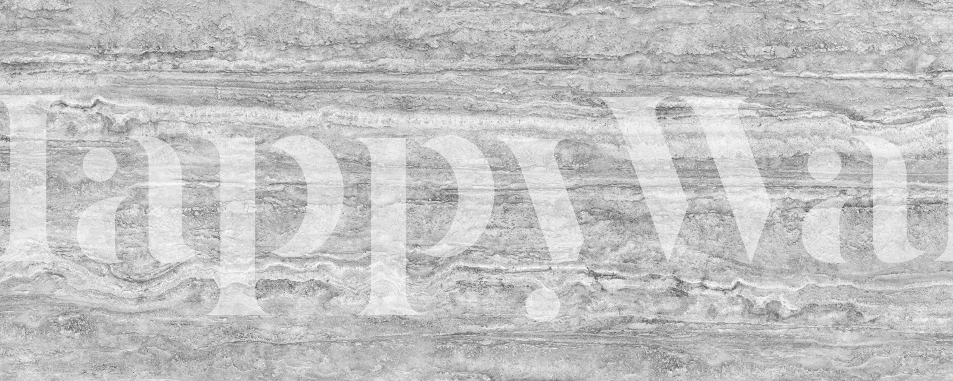 Silver Ash Travertine wallpaper in a room setting