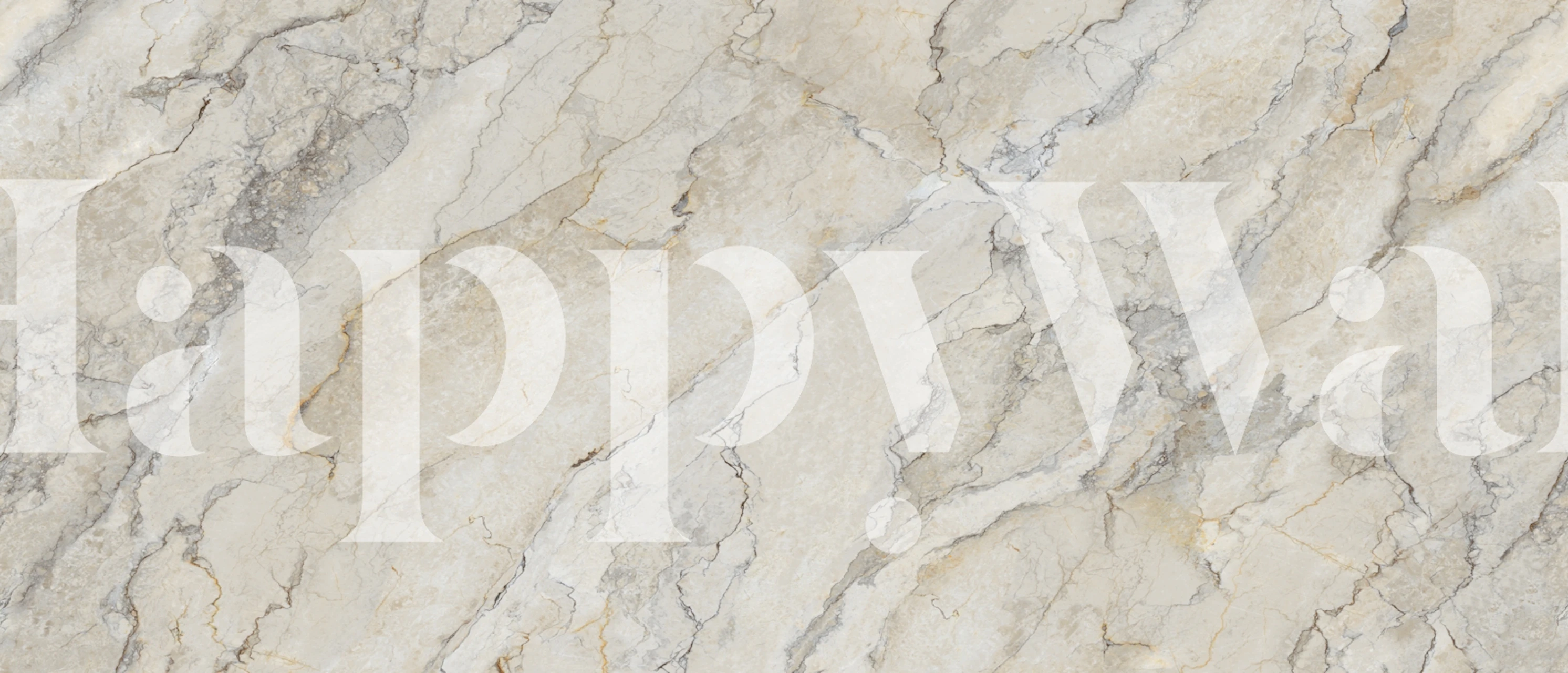 Tapeta Elegant Stone Texture u sobi