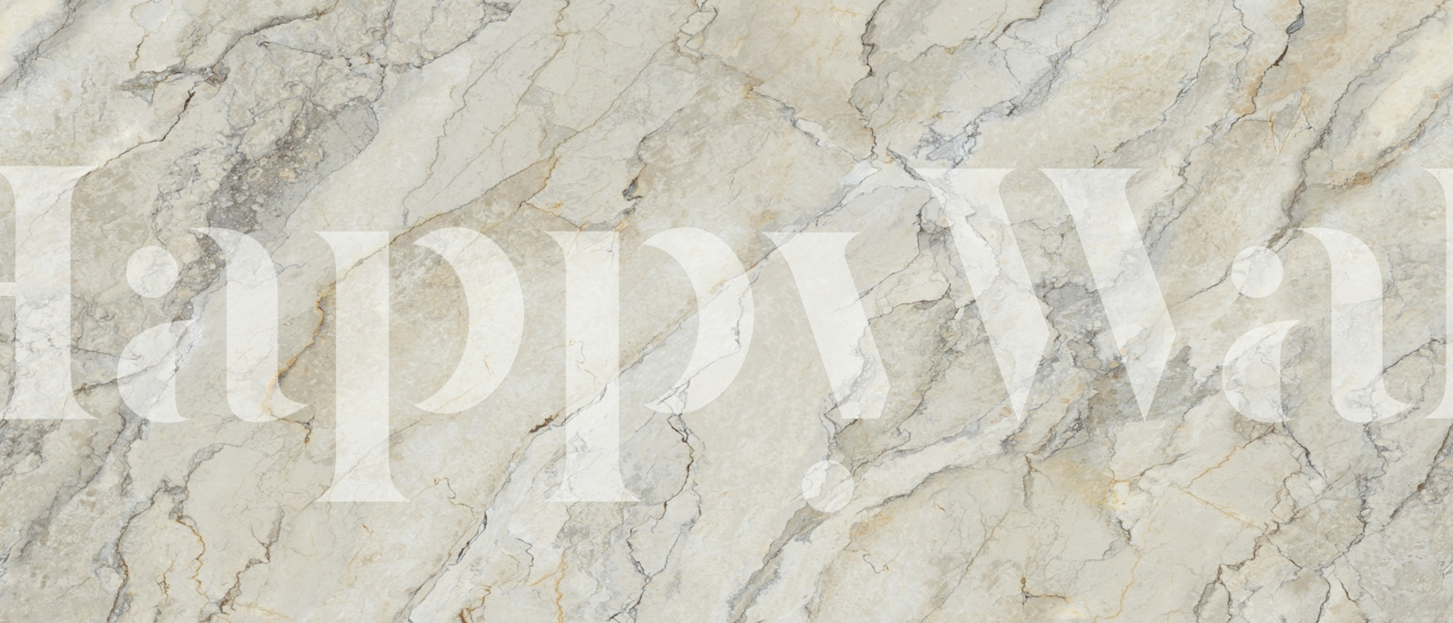 Elegant stone texture wallpaper in a room