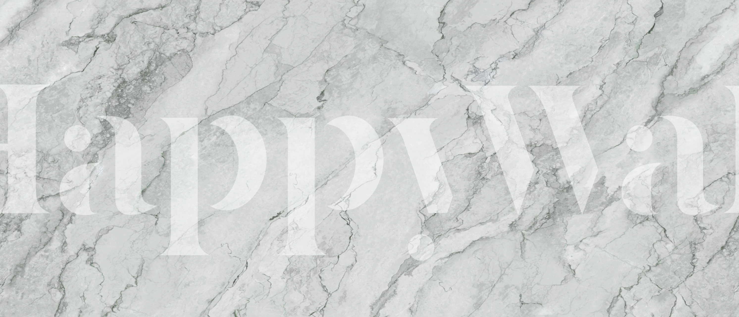 Grey crack stone wallpaper in a room