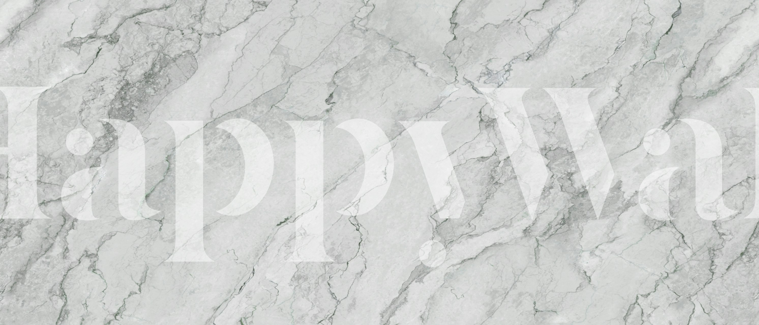 Grey crack stone wallpaper in a room