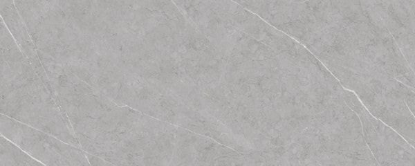 Modern Gray Elegance