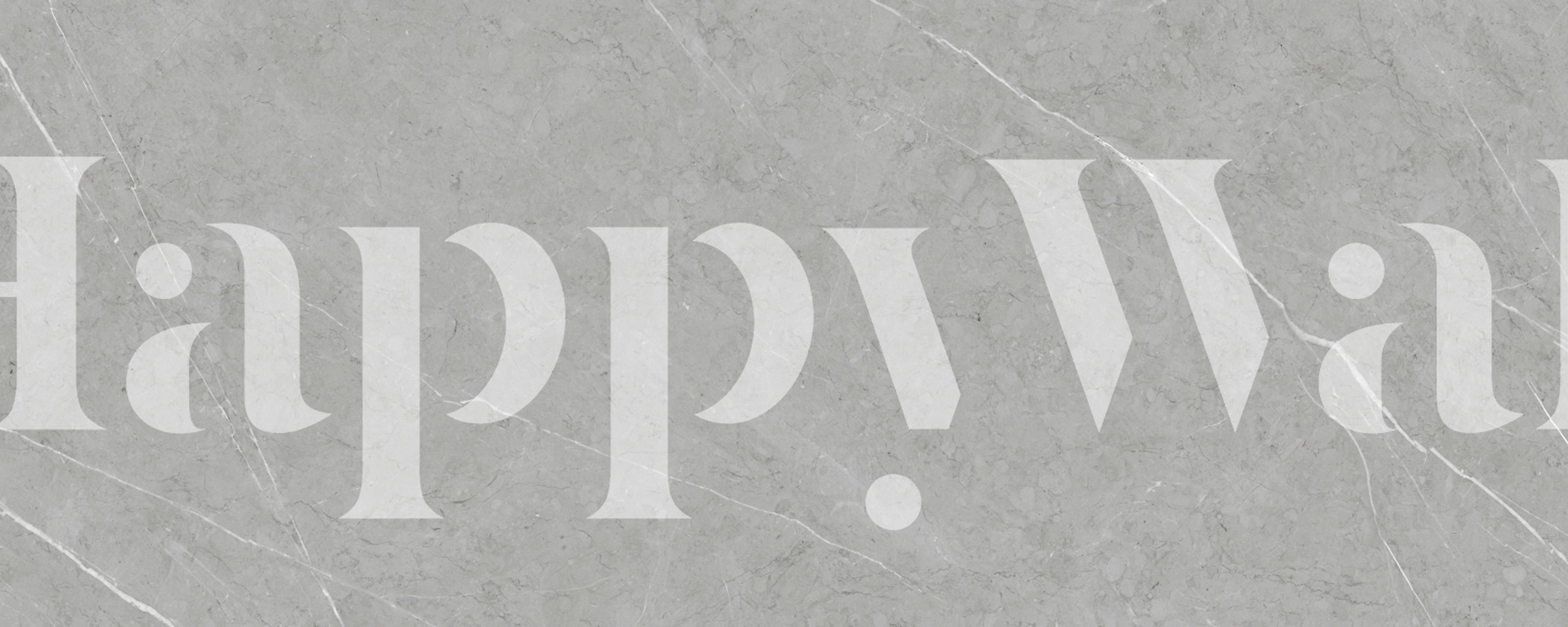 Modern gray elegance wallpaper in room