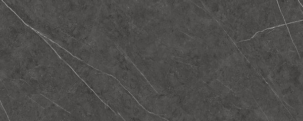 Graphite Noir Contemporary Marble