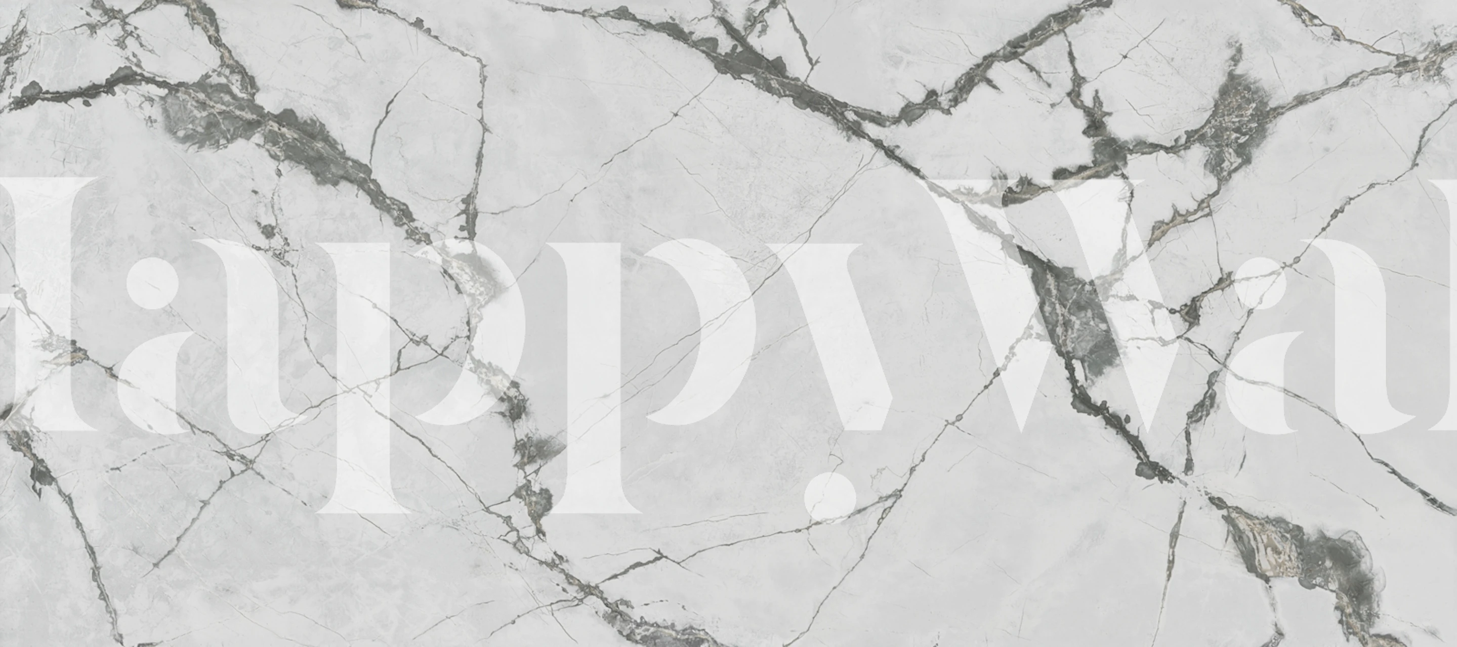 Valkoinen natural granite wallpaper huoneessa