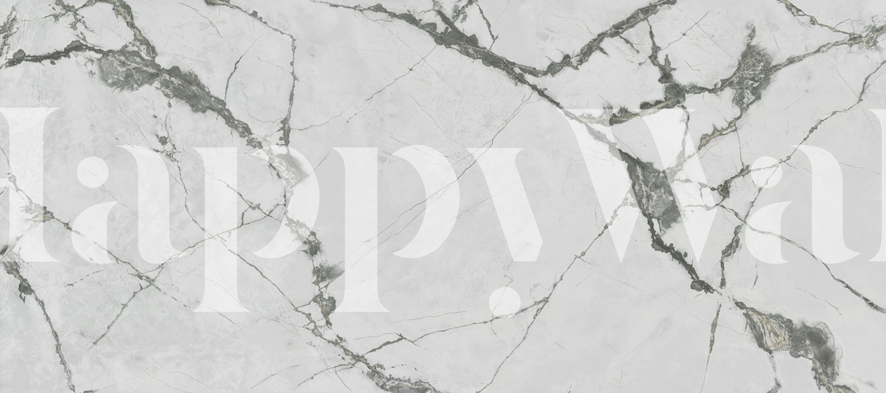 Weiße natural granite wallpaper in einem Raum