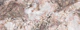 Earthy Marble Aesthetic
