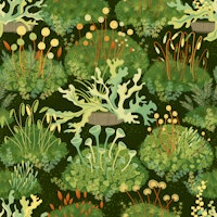 Lush Zen Garden Serenity Noon behang