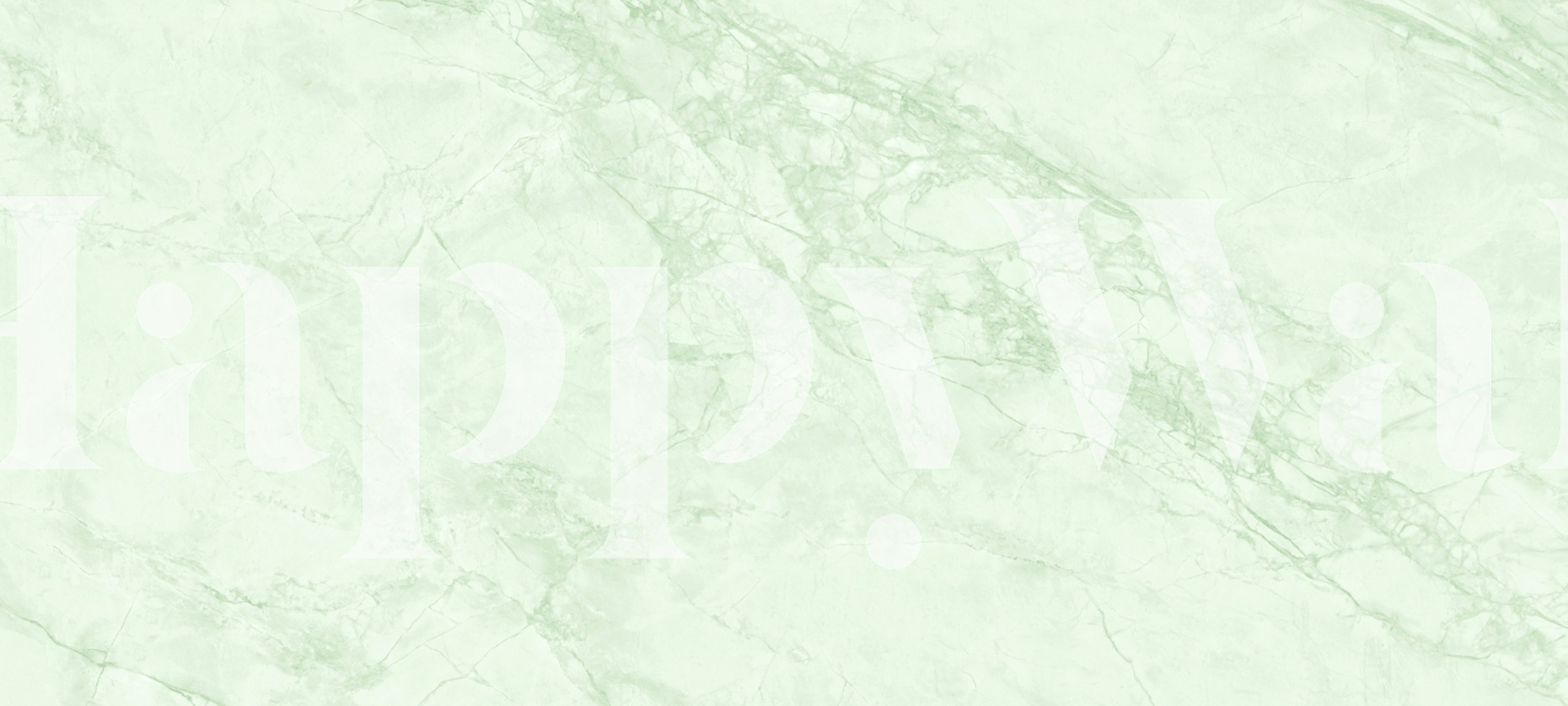 Light green marble stone wallpaper in a room