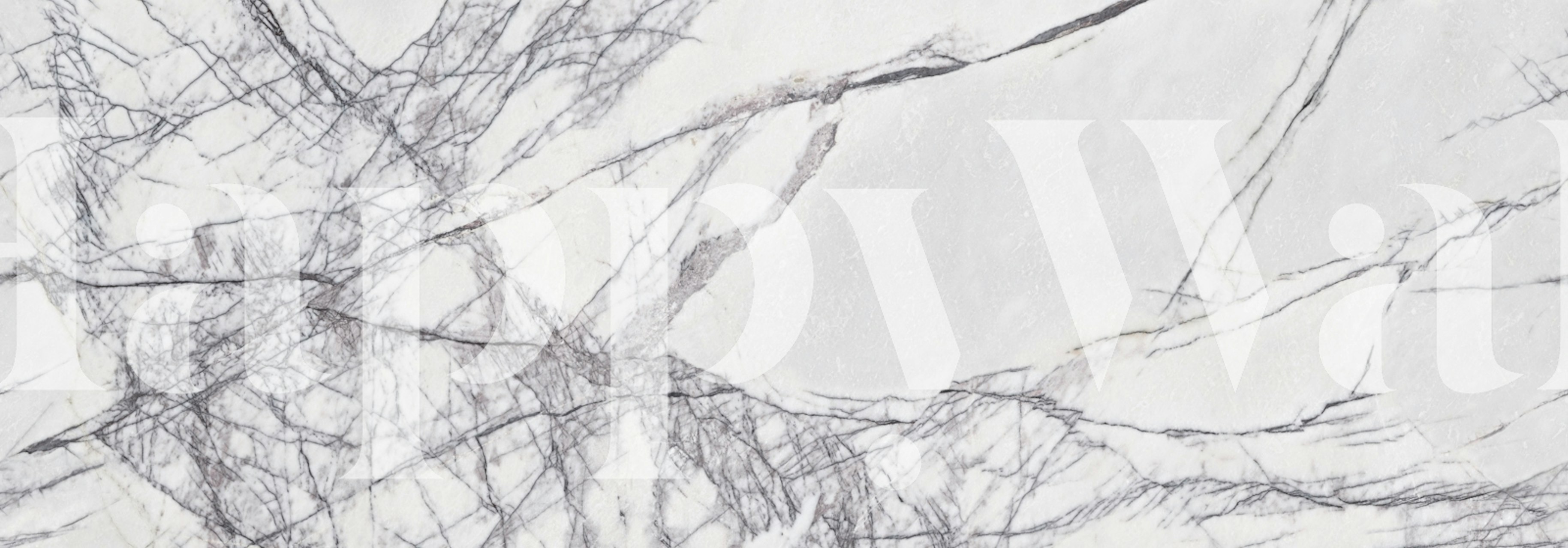 Arabescato White Marble wallpaper in a room