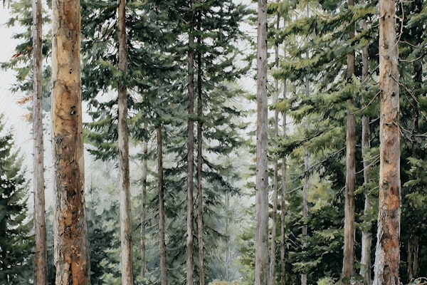 Mystical Forest Vibe