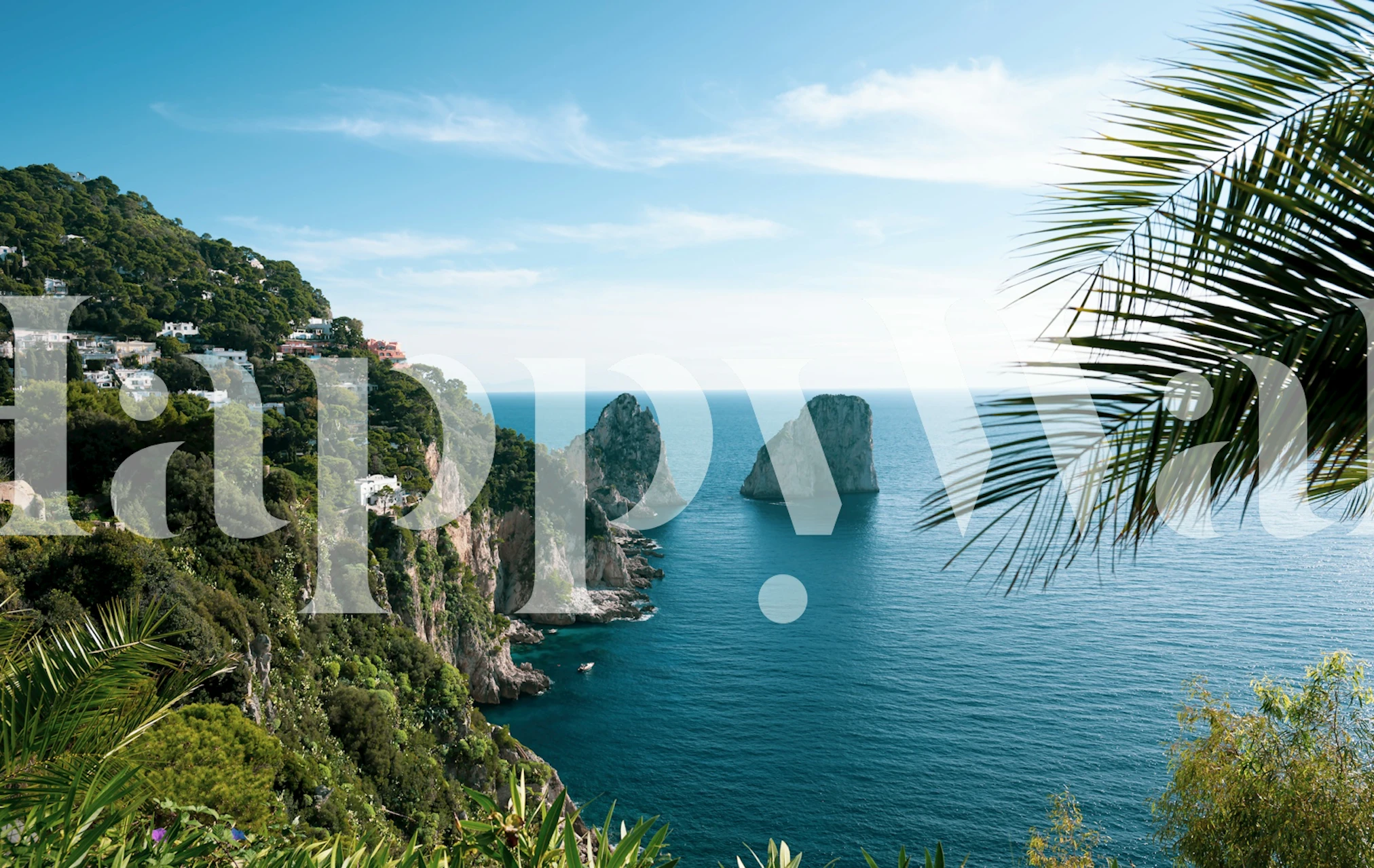 Capri Faraglioni Rock wallpaper in a room