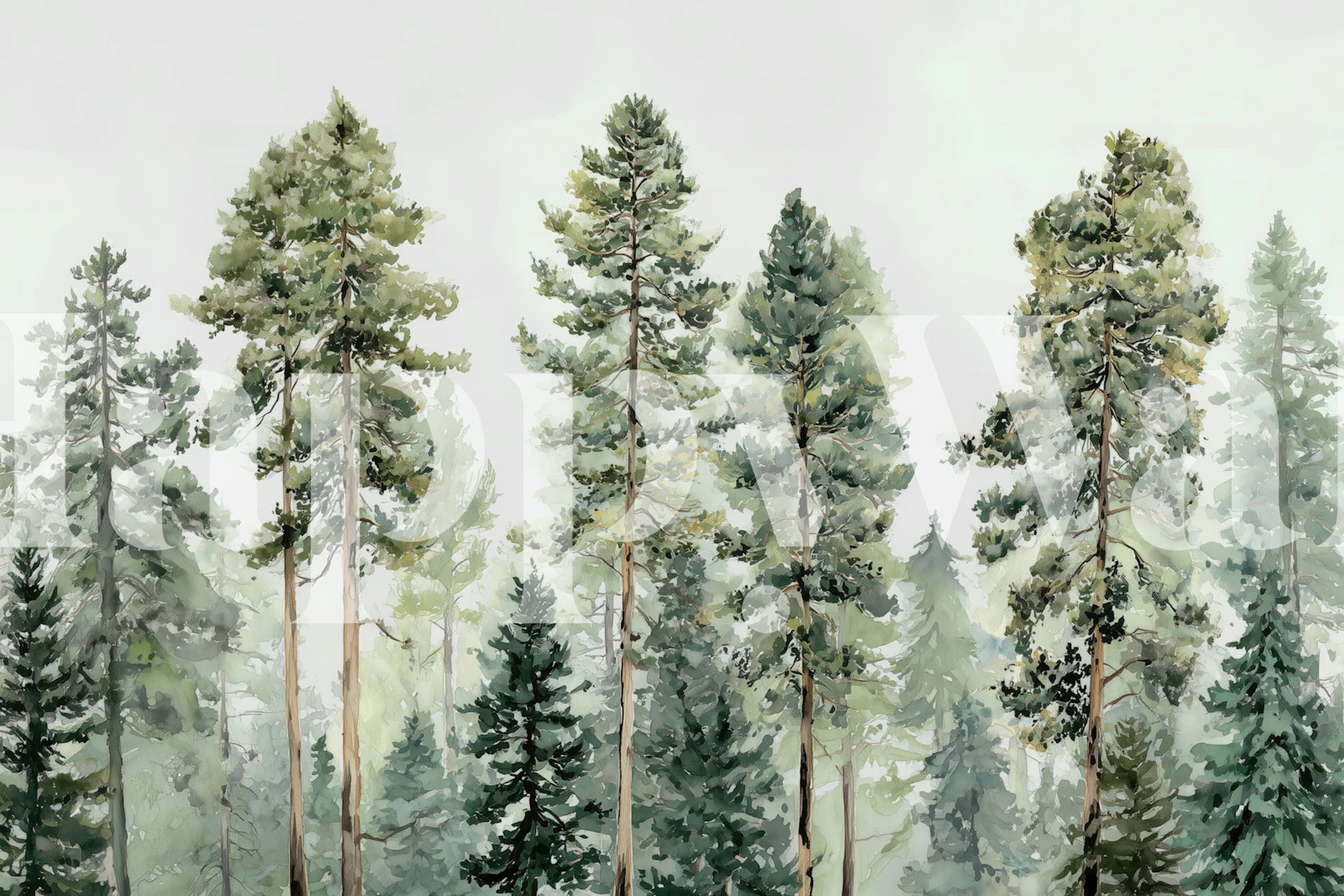 Tranquil pinewood wallpaper in a room