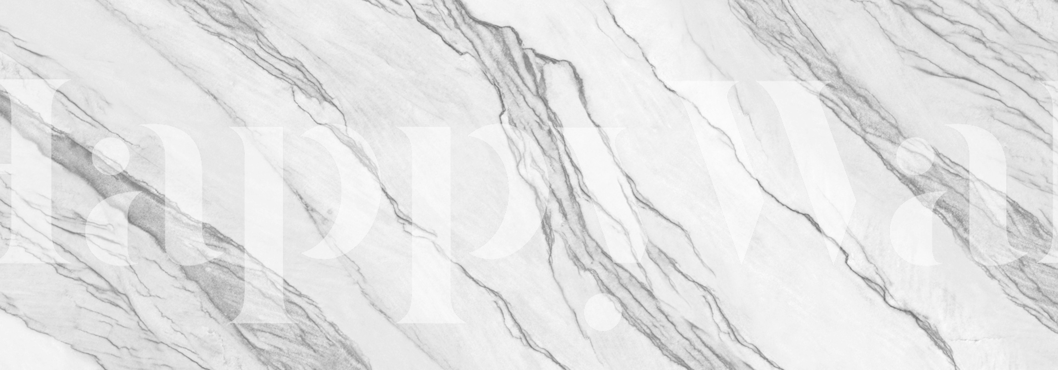 Bianco Lasa Marble tapet i et rum