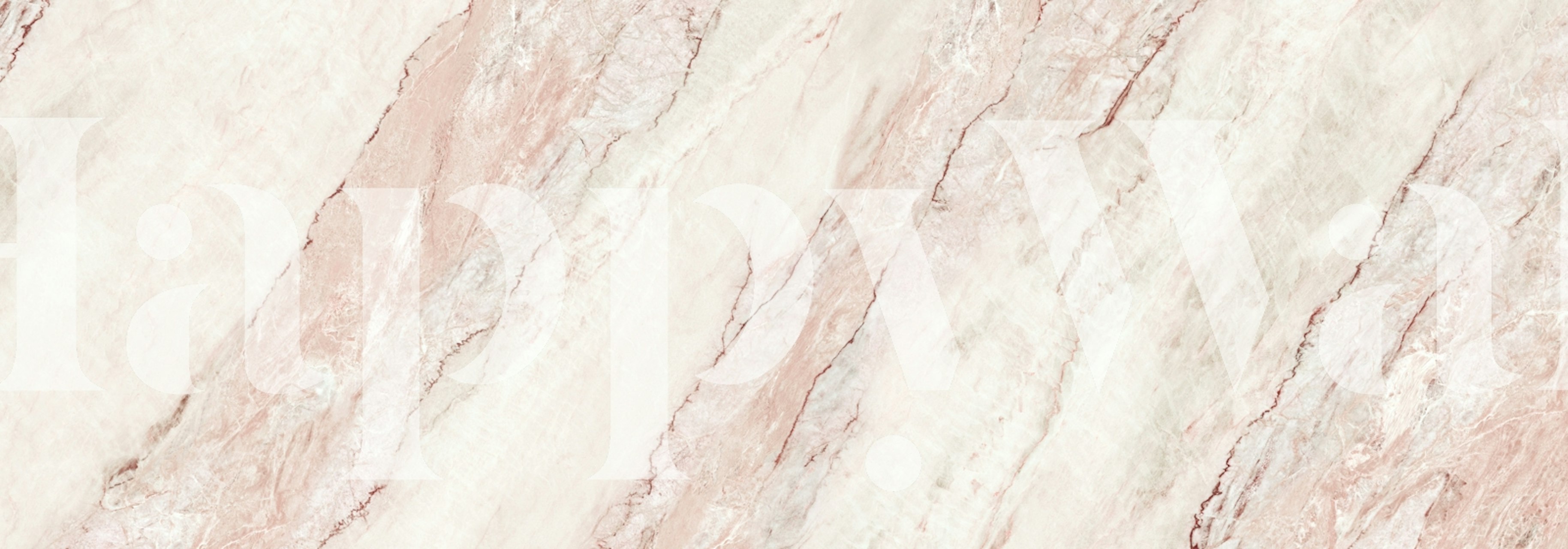 Onice Rosa Chiaro Stone wallpaper in a room