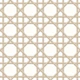 Woven cane lattice trellis minimalist beige