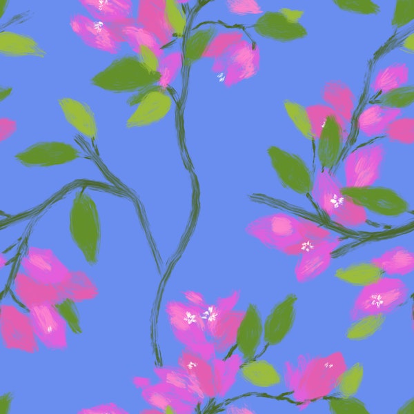Bougainvillea trailing floral bright leaf sky