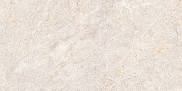 Beige Fossil Marble Luxury