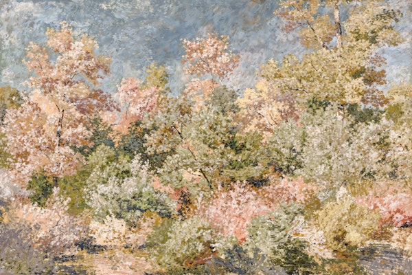 Tranquil Forest Garden Scene