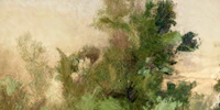 Tranquil Forest Greenery wallpaper
