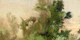 Tranquil Forest Greenery