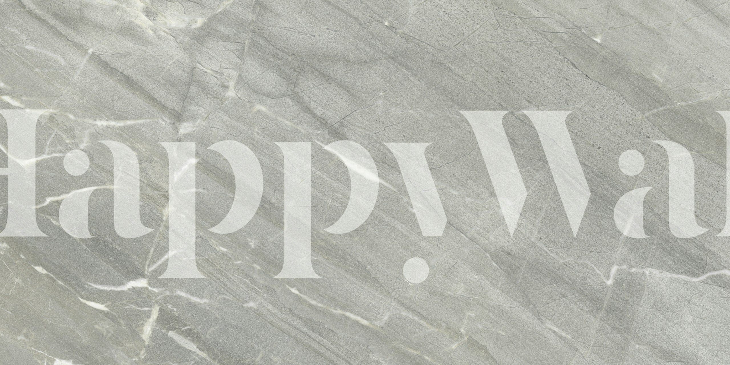 Tapeta Grey Lithic Natural Stone v místnosti