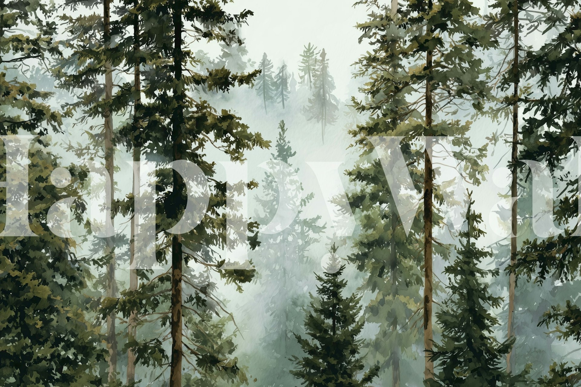 Forest mist scene with tall green trees and fog wallpaper