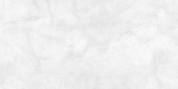 Carrara Ice White Marble