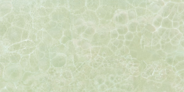 Pistachio Green Onyx Marble