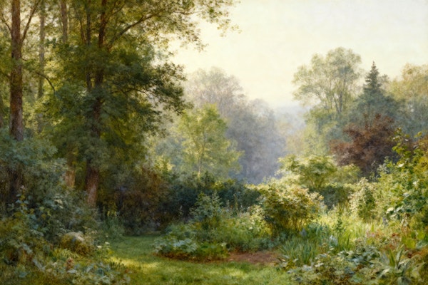 Tranquil Forest Oasis