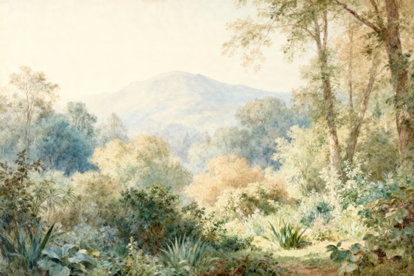 Tranquil Forest Landscape