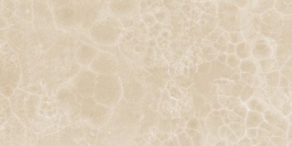 Soft Beige Onyx Elegant