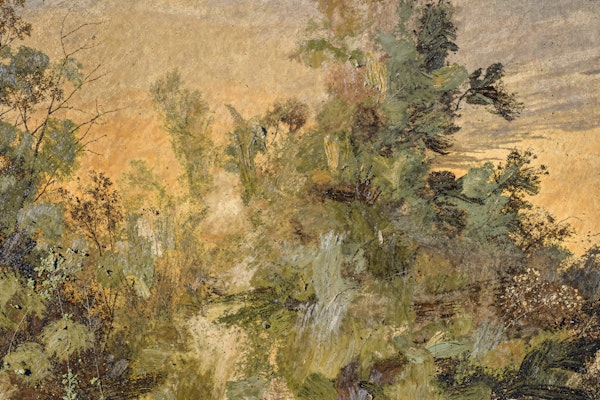 Rustic Forest Tranquility