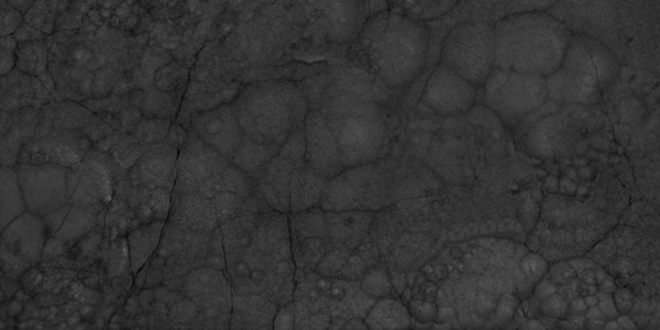 Graphite Onyx Elegant Marble Texture