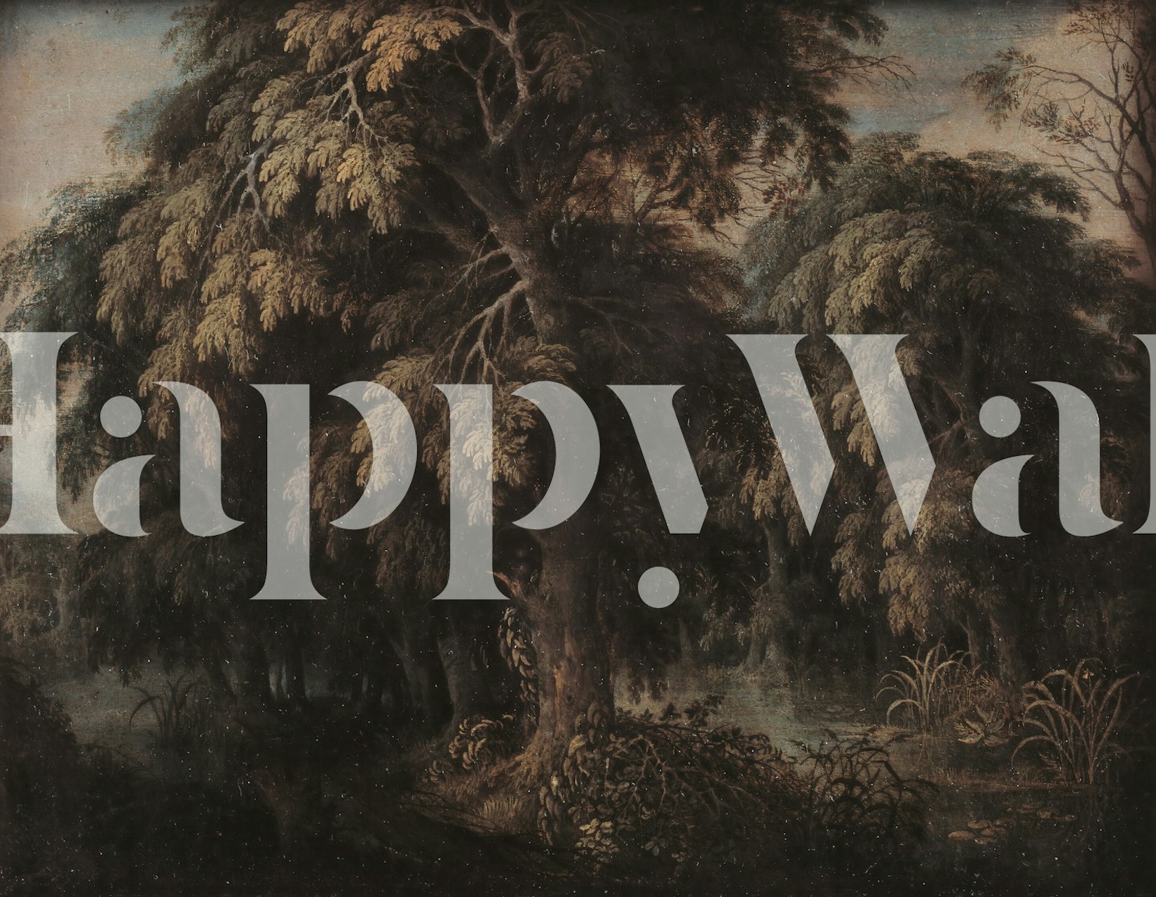 Dark forest with trees in autumn shades wallpaper