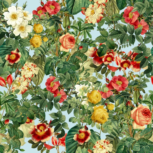 Elegant Rose Collection