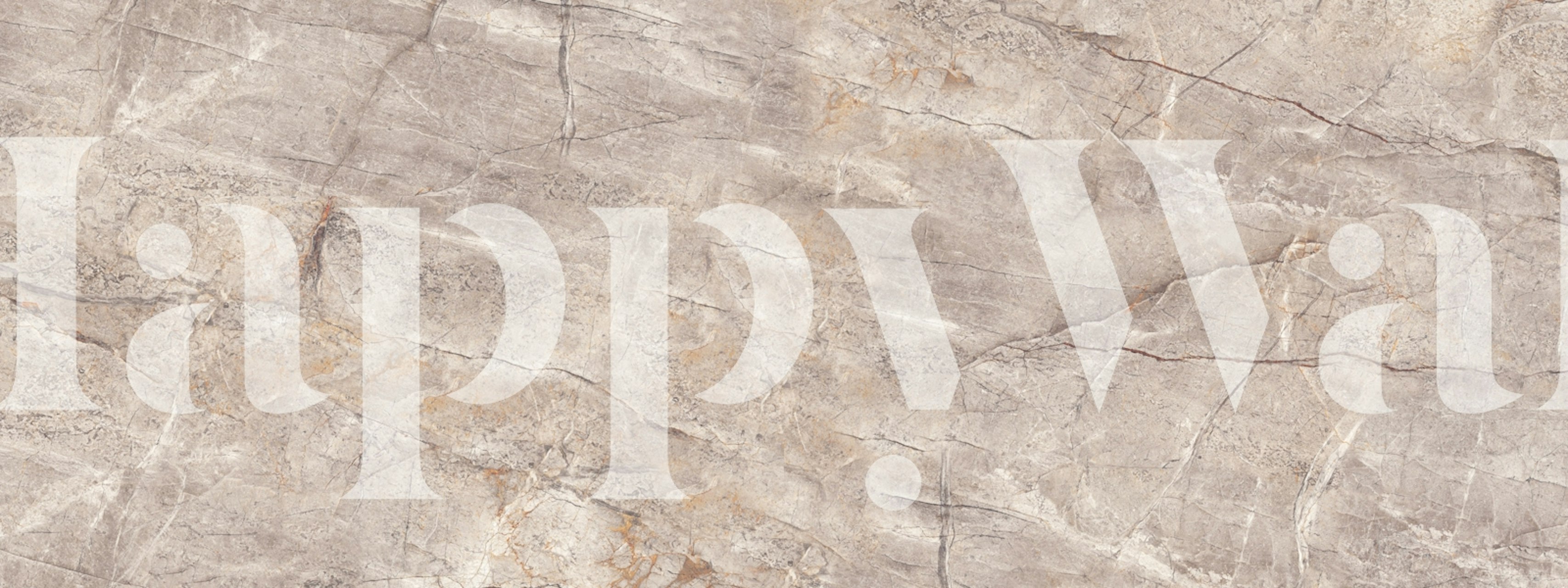 Natural marble texture in warm grey tones wallpaper