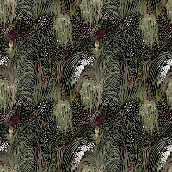 Rhaphidophora Decursiva