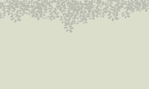 Simple leaf shadow mural sage green