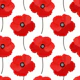 Red Poppy Floral Bliss