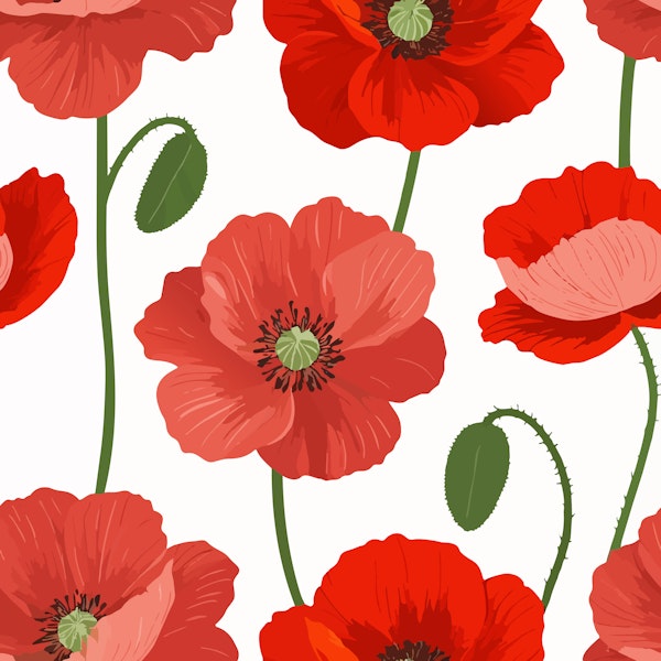 Red Poppy Flower Design