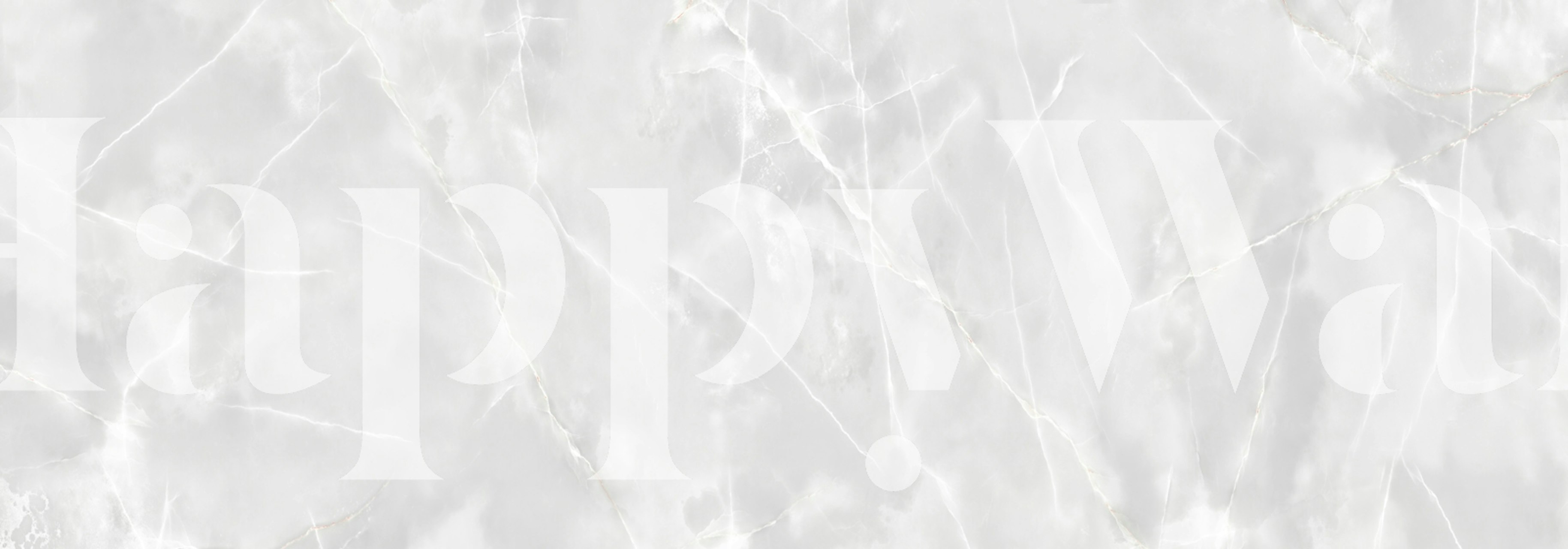 Pure Alabaster Onyx Marble wallpaper in a room