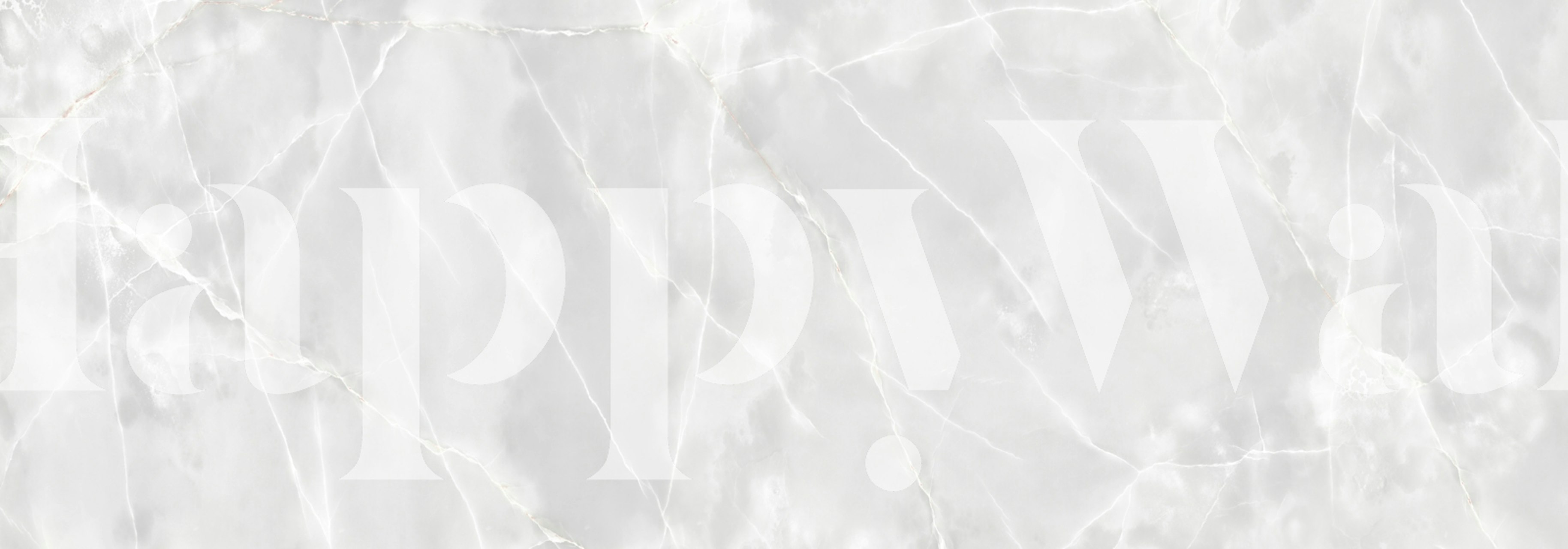 Soft Cloud Onyx Natural Stone Tapete in einem Raum