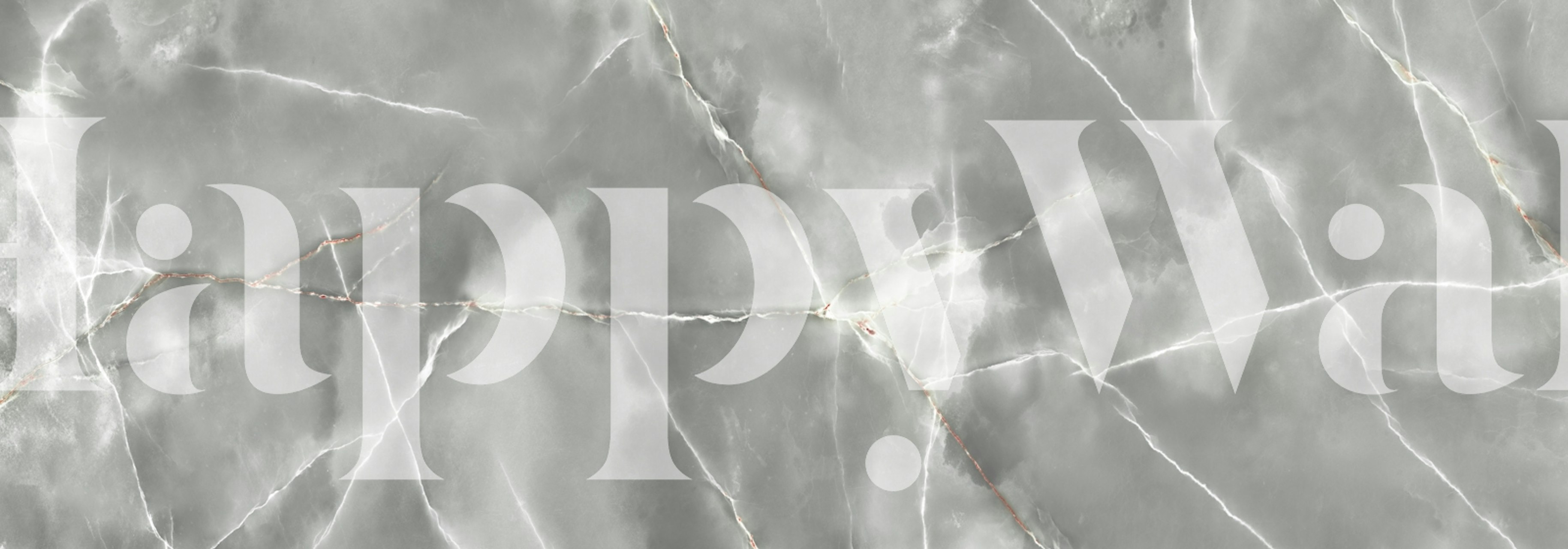 Luxurious Gray Stone Veining wallpaper in a room