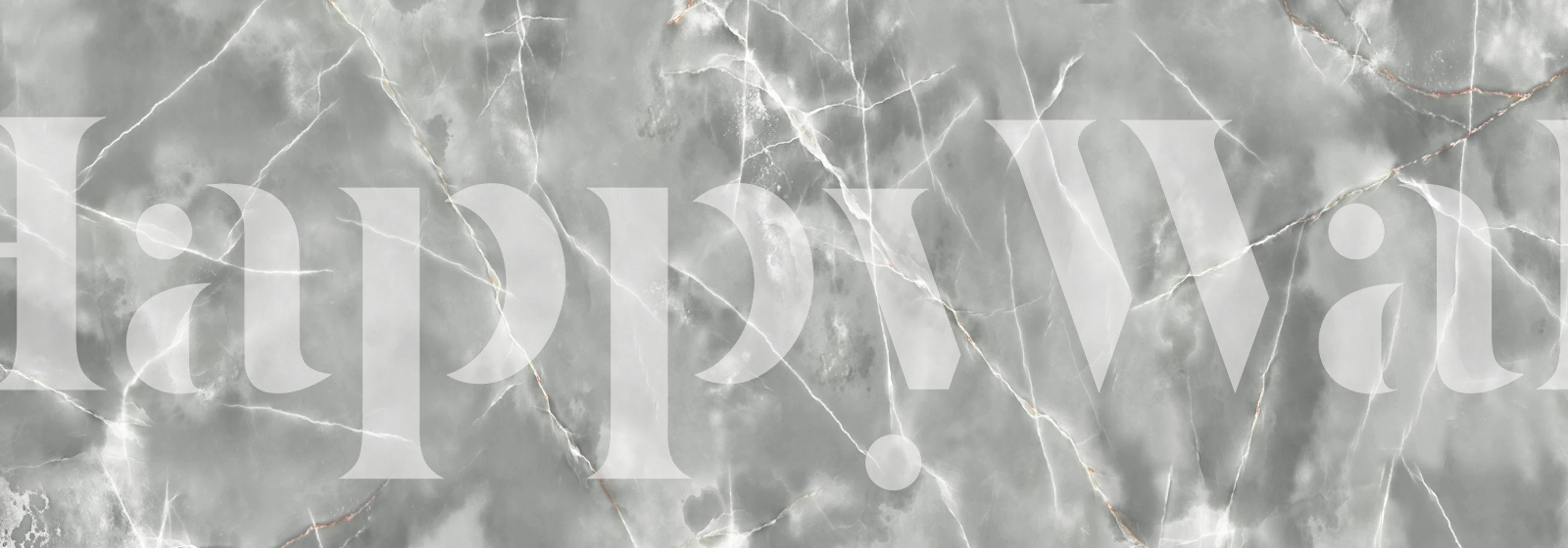 Silver Cloud Grey Onyx Marble tapet i et rom